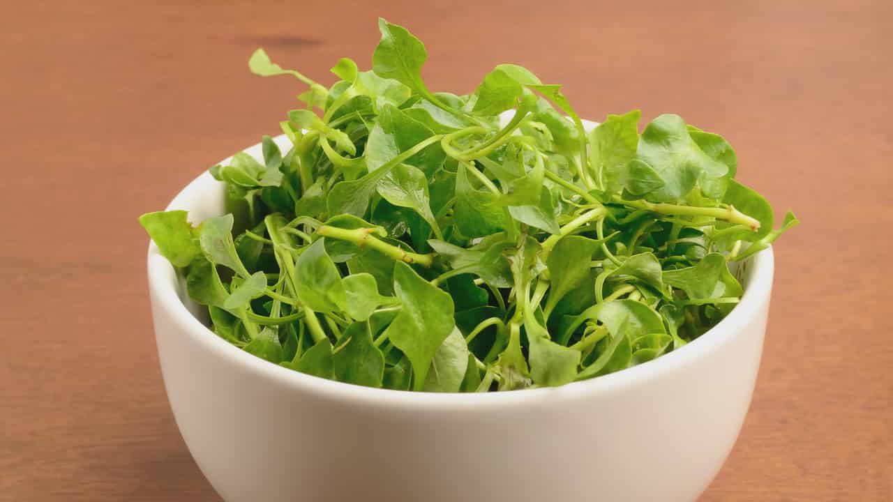 benefici crescione d'acqua