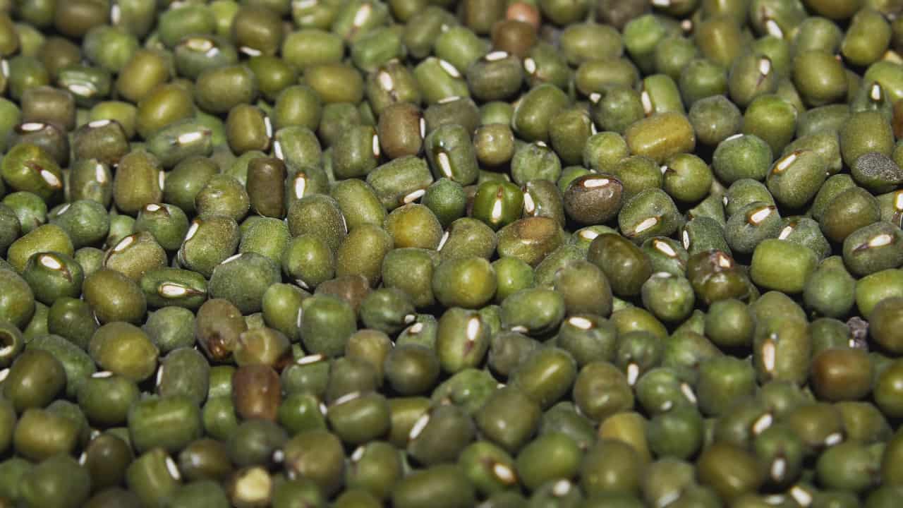 benefici fagioli mungo