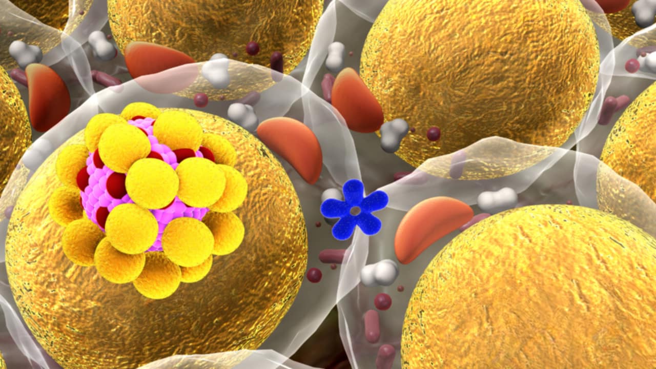 trigliceridi elevati