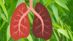 9 Piante ed erbe che combattono le infezioni e aumentano la salute dei polmoni