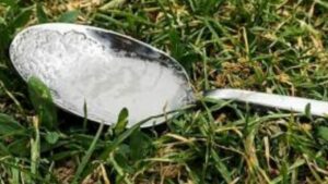 Se vedi un cucchiaio con lo zucchero nel tuo giardino, faresti meglio a sapere cosa significa. Mi vergogno a dire che non ne avevo idea