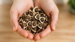 I medici lo chiamano il seme miracoloso: cura il diabete, aiuta a perdere peso velocemente, cura l’ipertensione, la gastrite e molto altro ancora