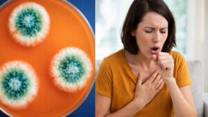 La muffa è ovunque: 11 segnali che lo indicano