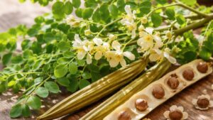 9 benefici della Moringa che non conoscevi